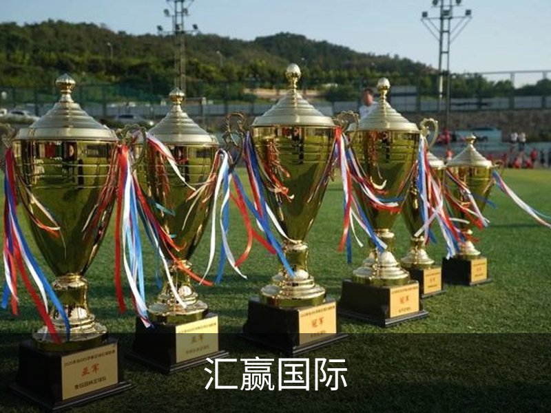了解汇赢国际